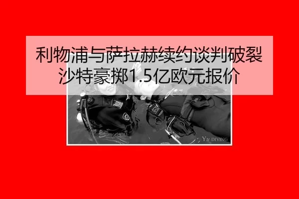 li-wu-pu-yu-sa-la-he-xu-yue-tan-pan-po-lie-sha-te-hao-zhi-yi-ou-yuan-bao-jia-2-551.jpg