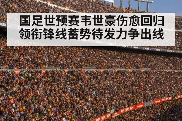 football stadium crowd