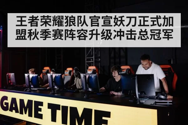 professional gaming team