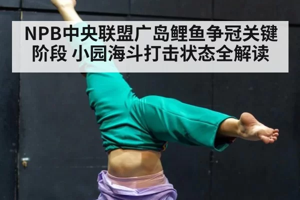NPB中央联盟广岛鲤鱼争冠关键阶段 小园海斗打击状态全解读